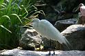 dierentuin emmen_1017